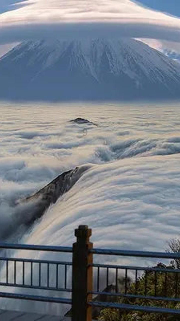 独步竹林