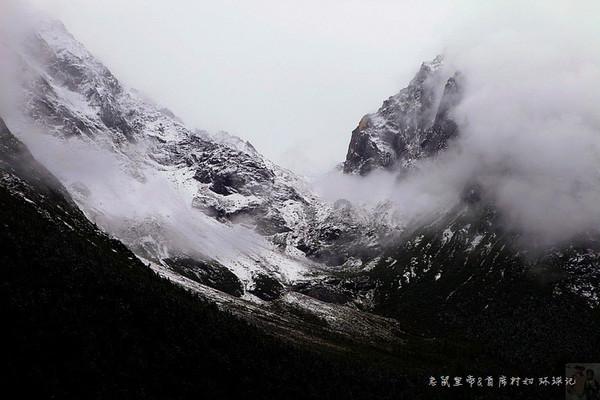 迷雾求生